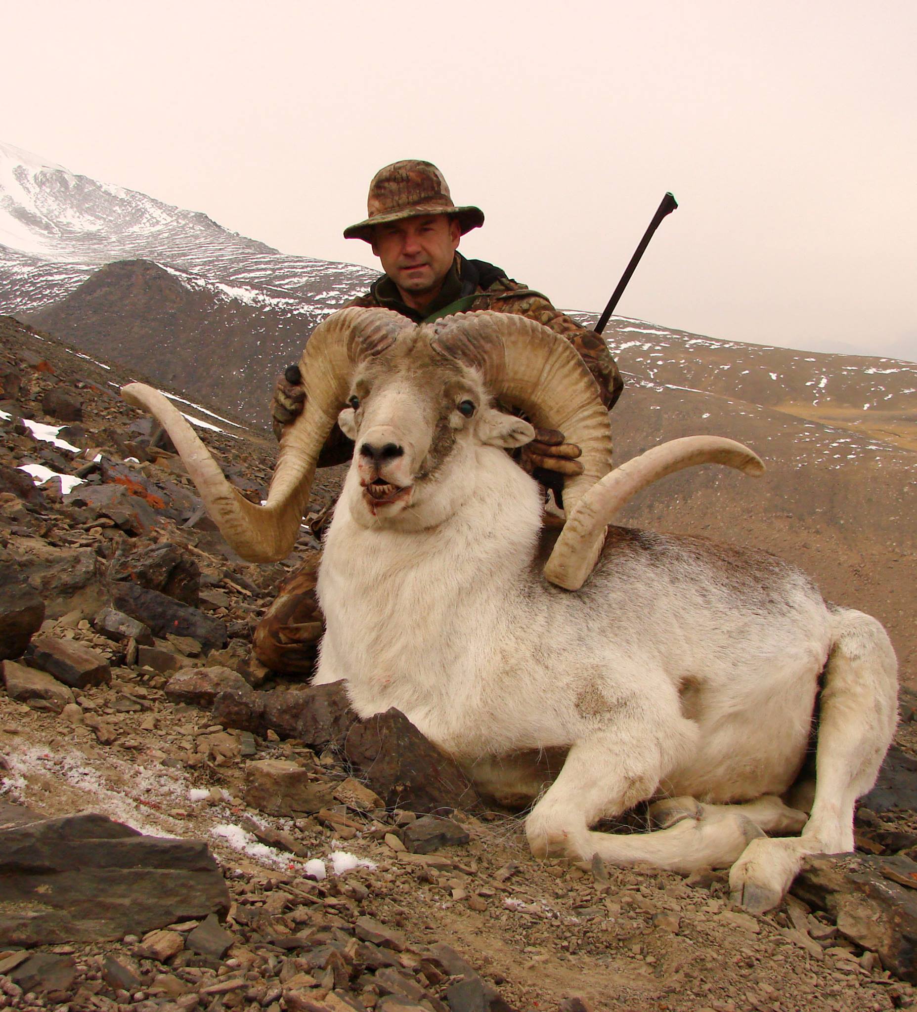 MARCO POLO ARGALI IN TAJIKISTAN