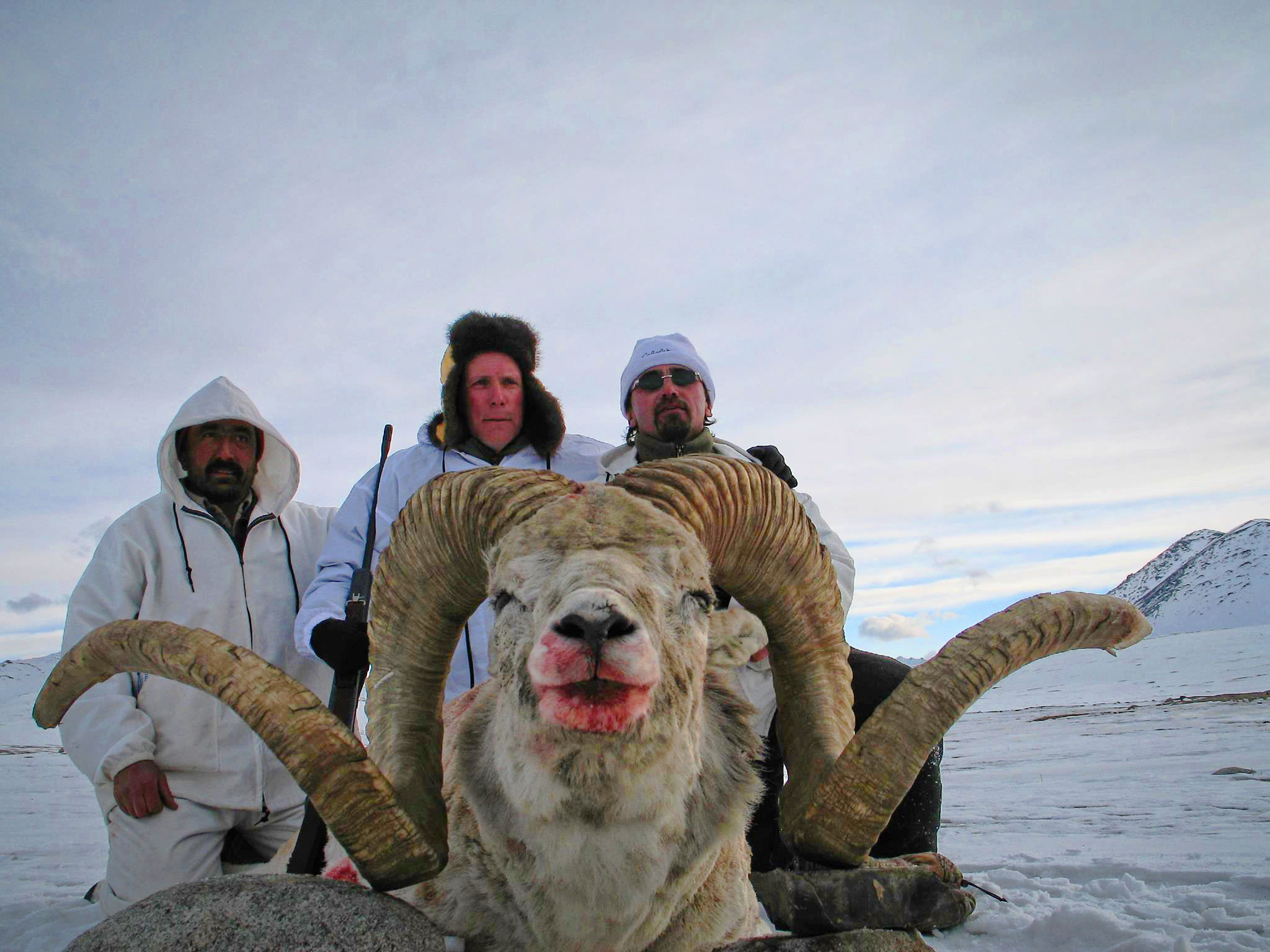 MARCO POLO ARGALI IN TAJIKISTAN