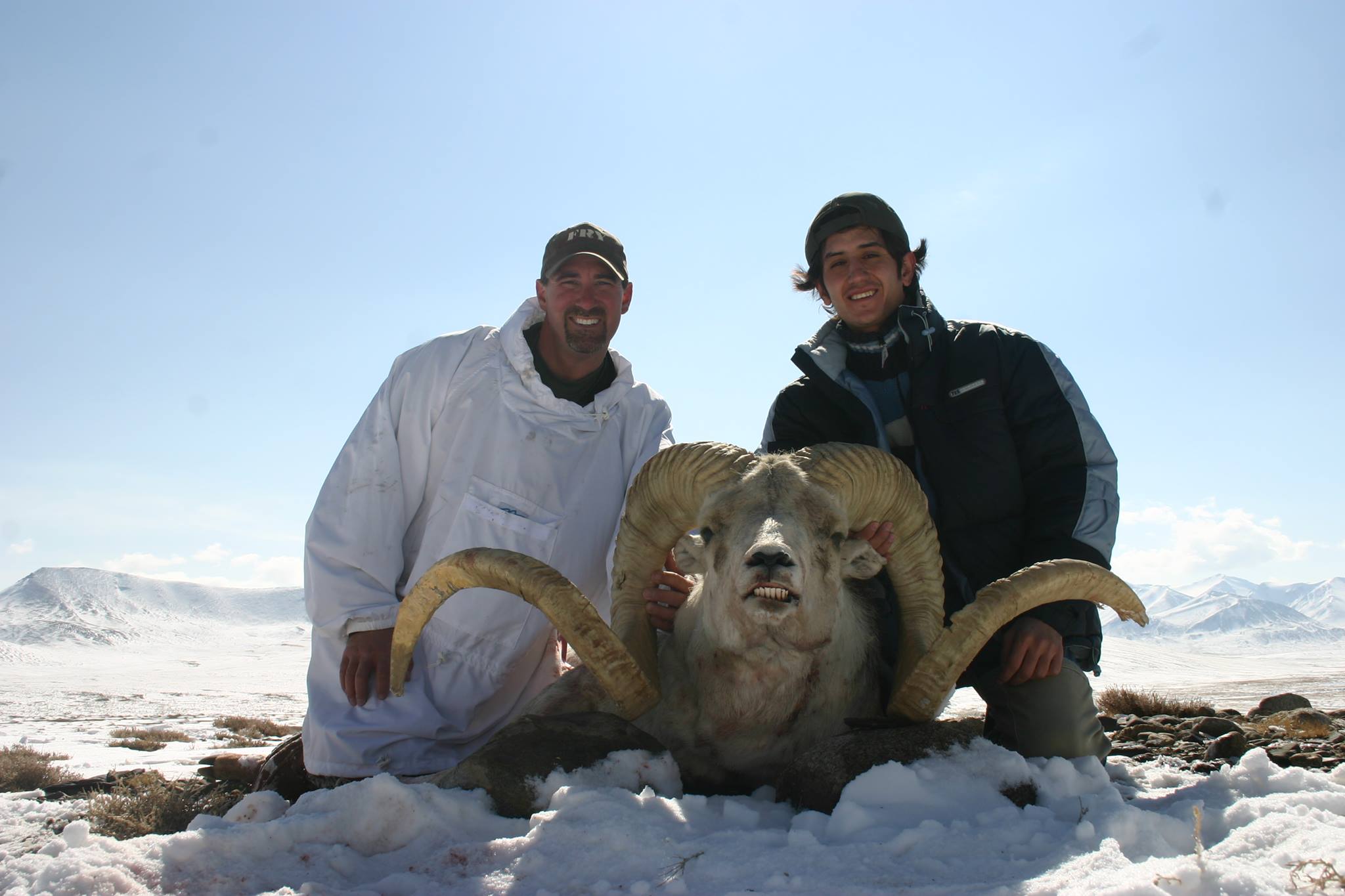 MARCO POLO ARGALI IN TAJIKISTAN