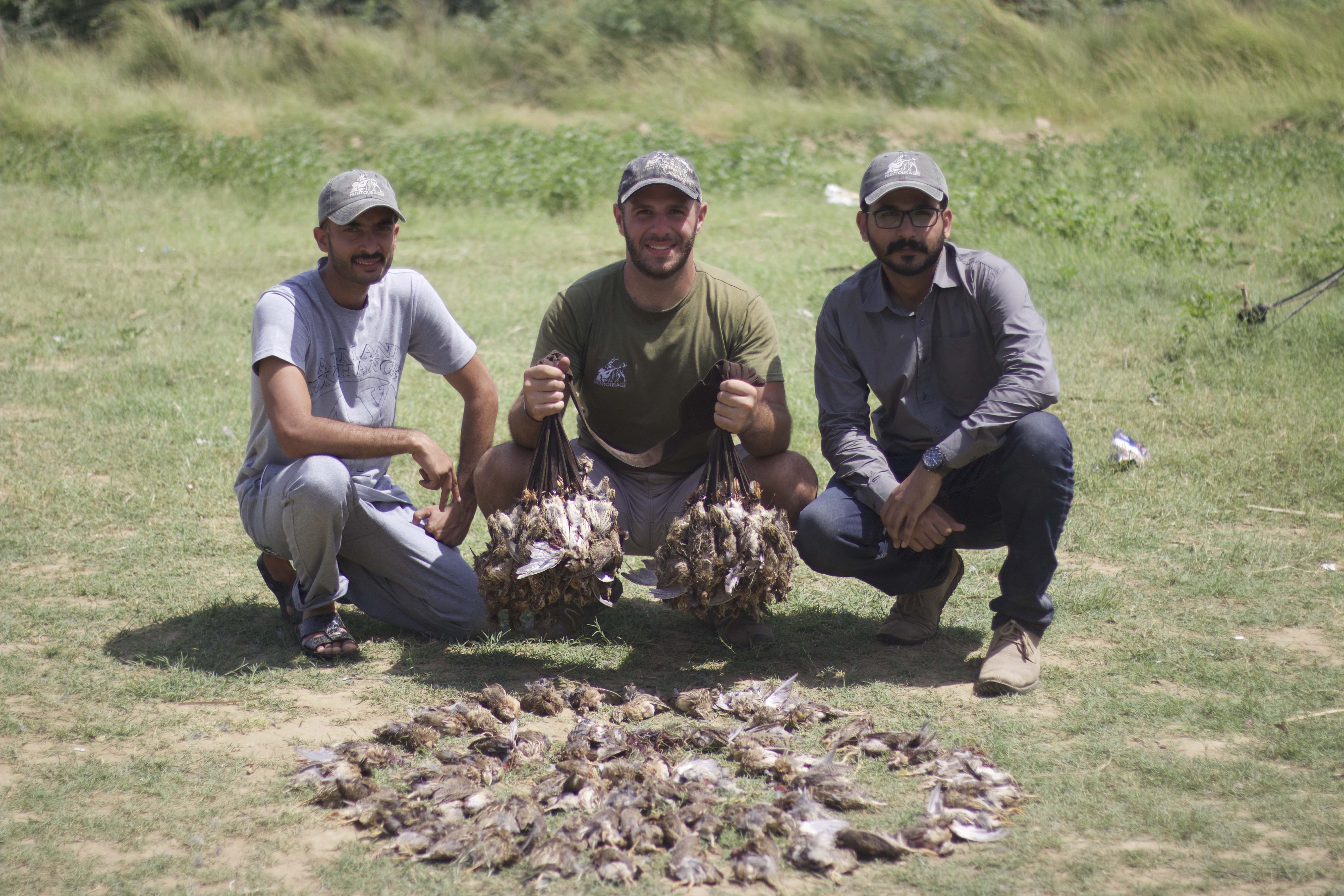 Pakistan High Volume Quail Hunting 