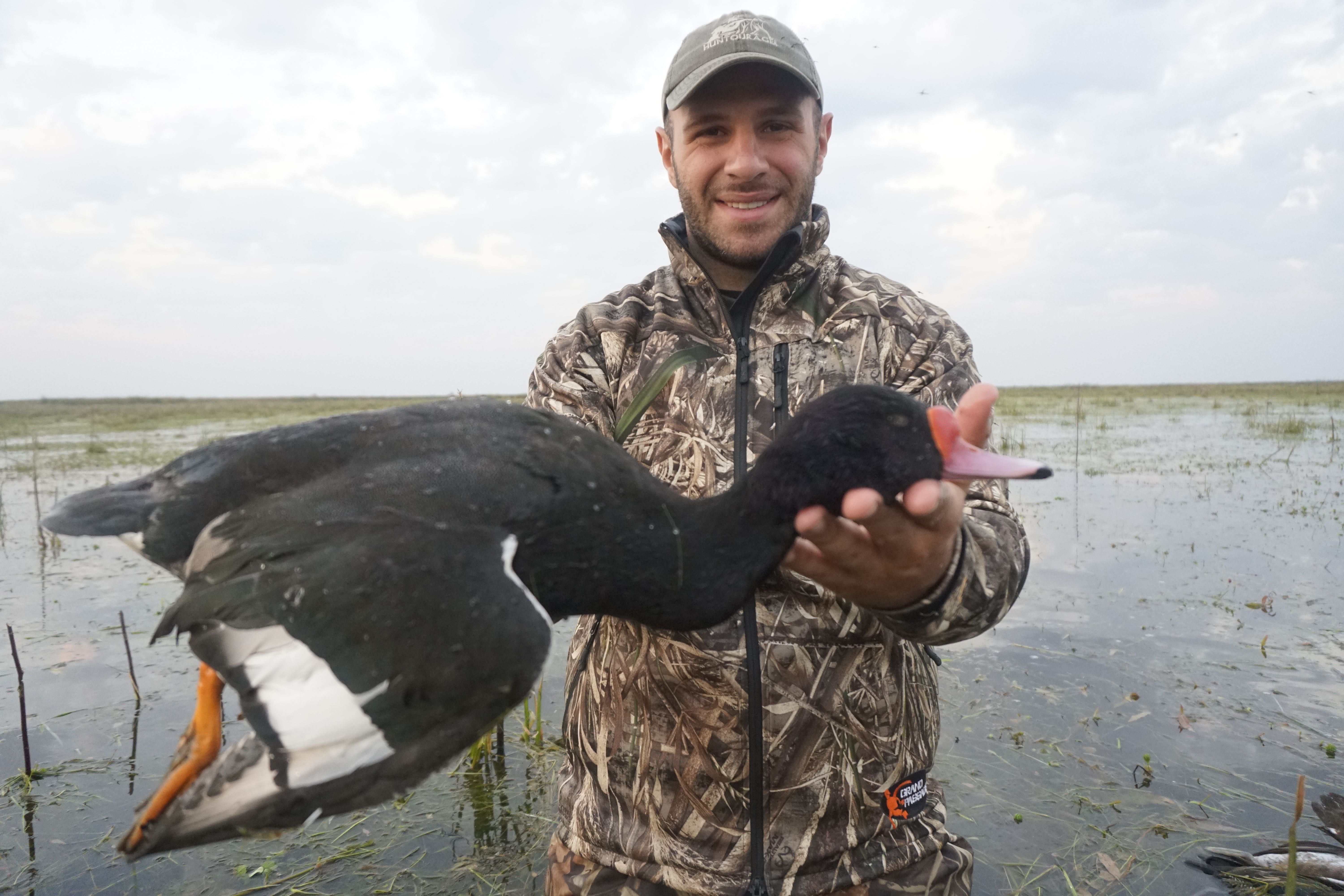 Duck Hunting in Argentina