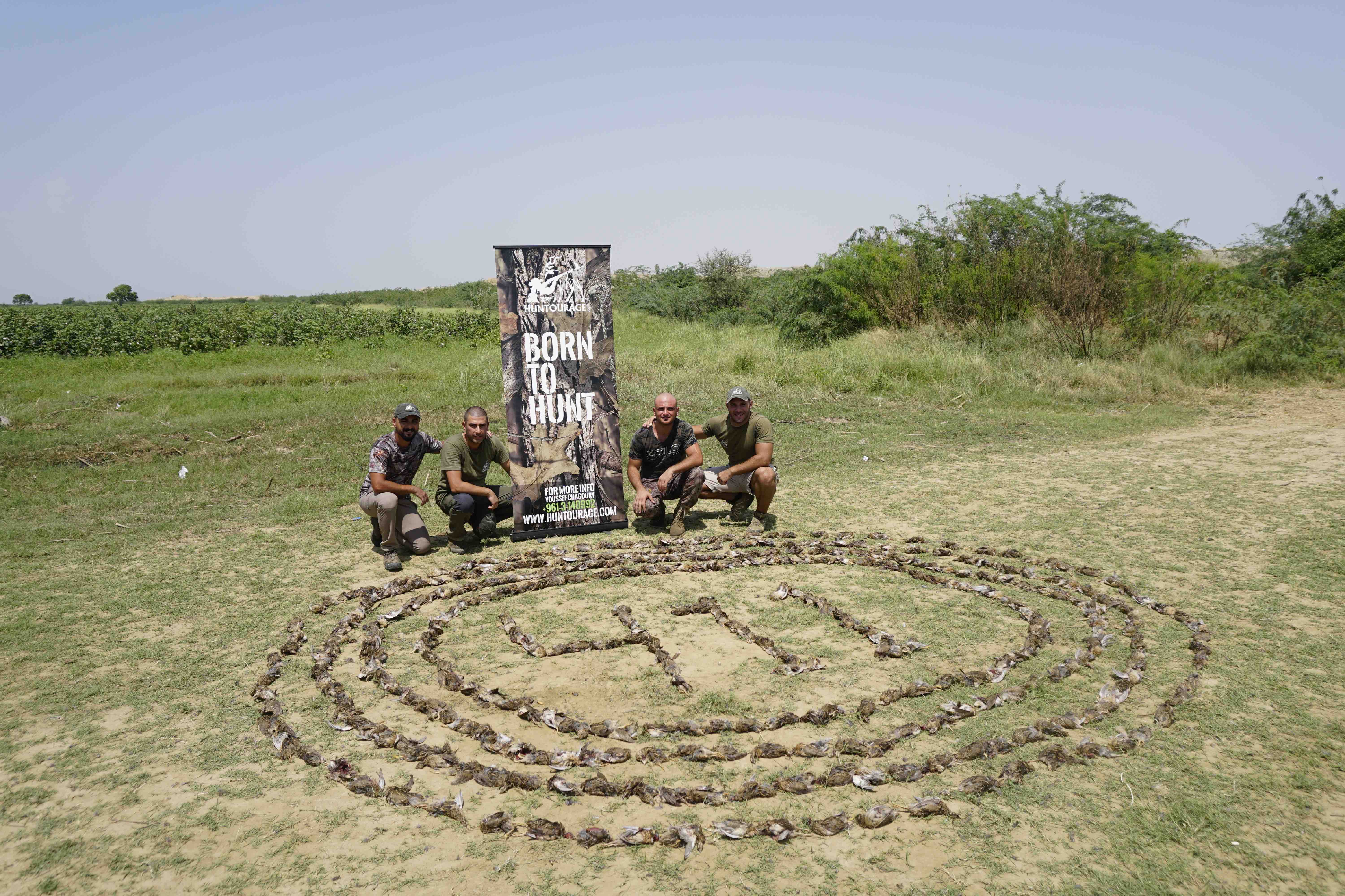 Pakistan High Volume Quail Hunting 